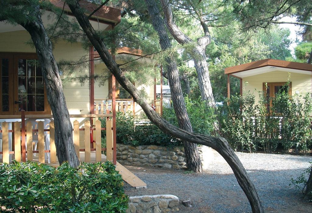 Le Esperidi Camping Ecoresort Marina Di Bibbona Oda fotoğraf