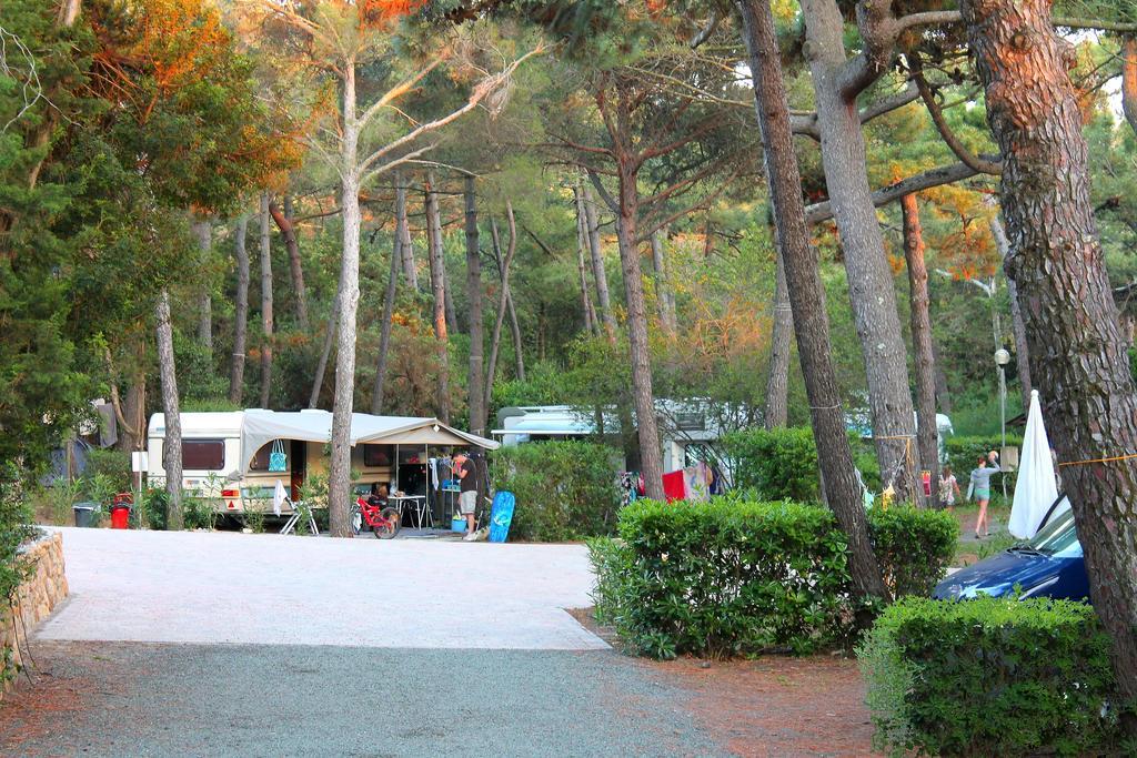 Le Esperidi Camping Ecoresort Marina Di Bibbona Dış mekan fotoğraf