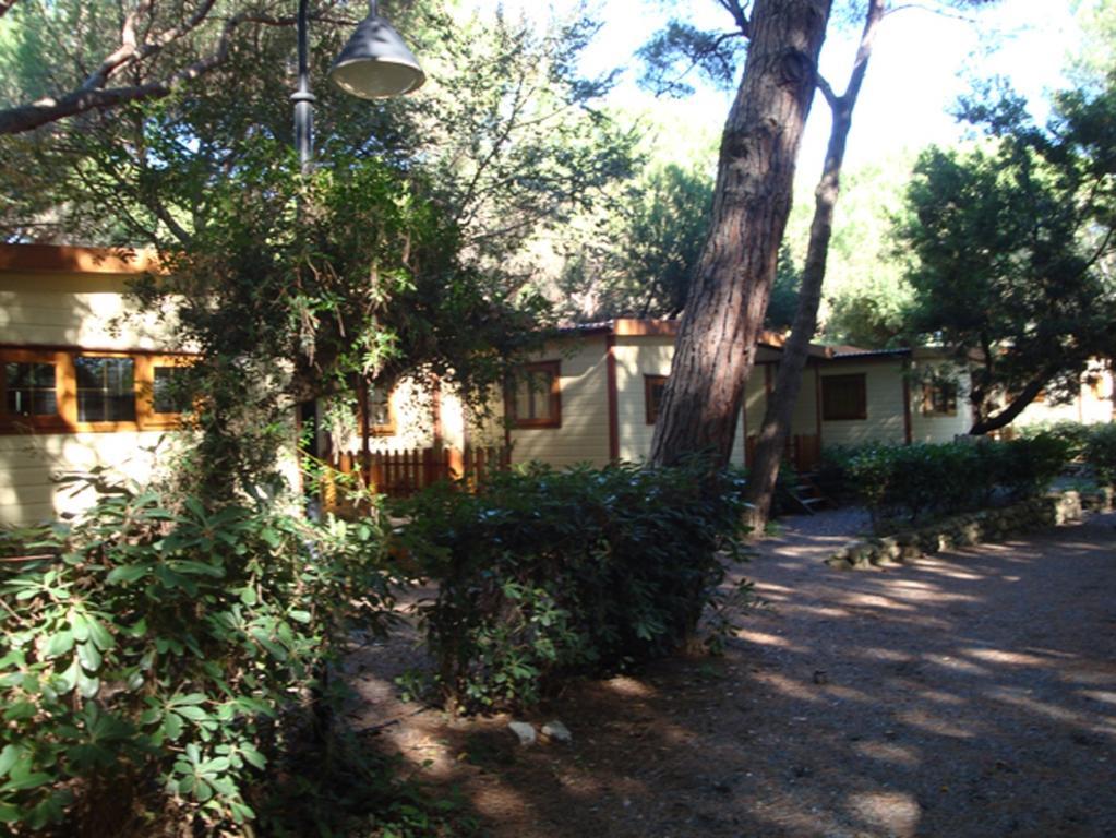 Le Esperidi Camping Ecoresort Marina Di Bibbona Dış mekan fotoğraf